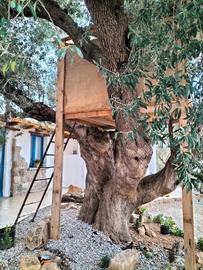 Sole In Ogliastra Bed & Breakfast Jerzu Exterior photo