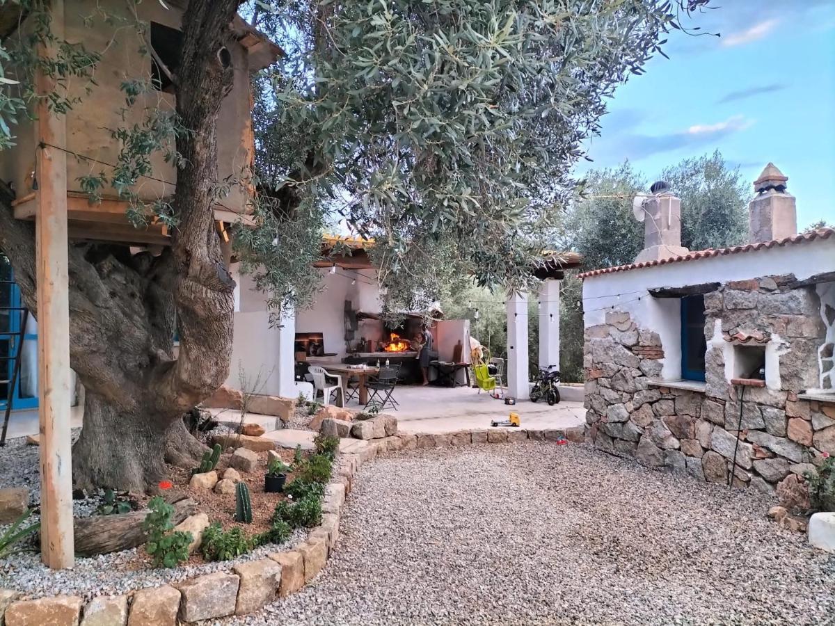 Sole In Ogliastra Bed & Breakfast Jerzu Exterior photo