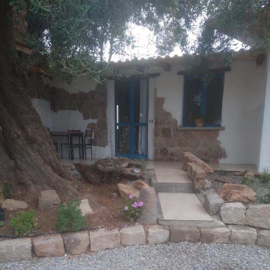 Sole In Ogliastra Bed & Breakfast Jerzu Exterior photo