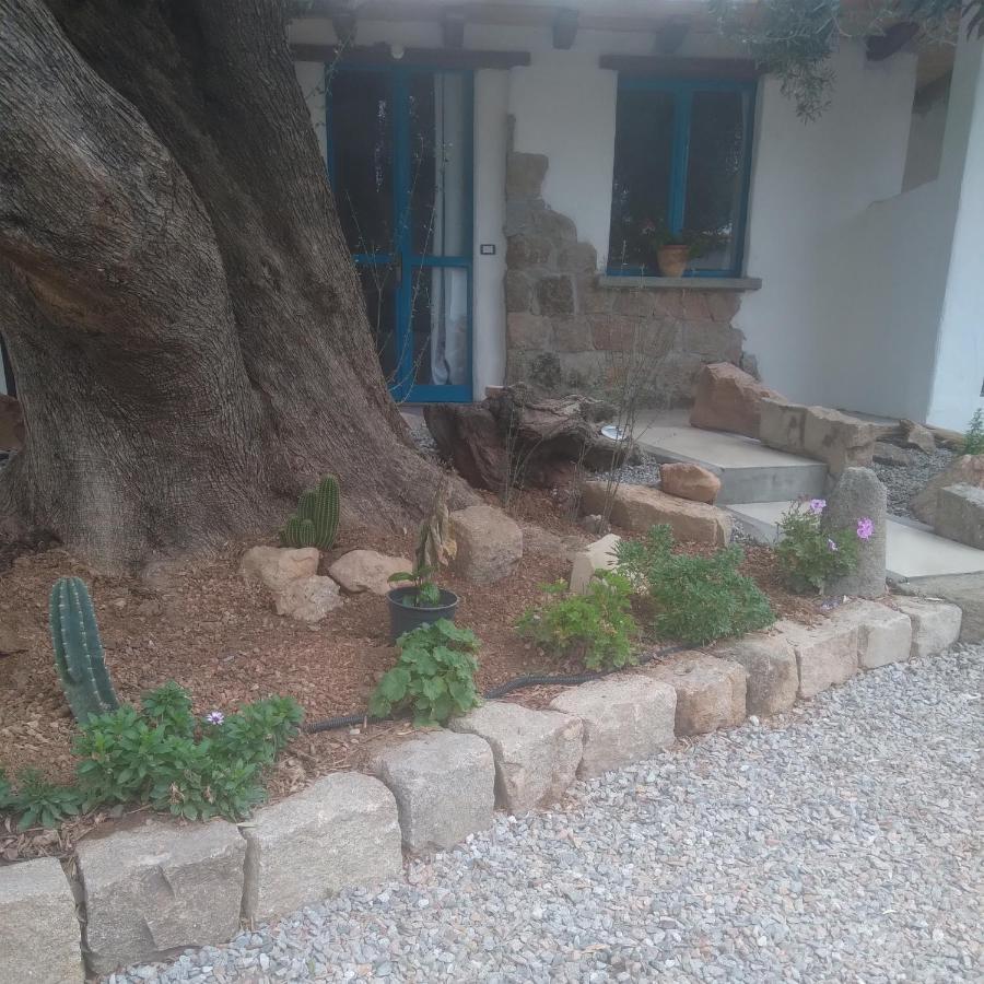 Sole In Ogliastra Bed & Breakfast Jerzu Exterior photo