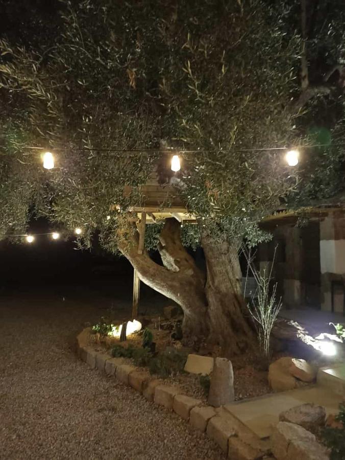 Sole In Ogliastra Bed & Breakfast Jerzu Exterior photo