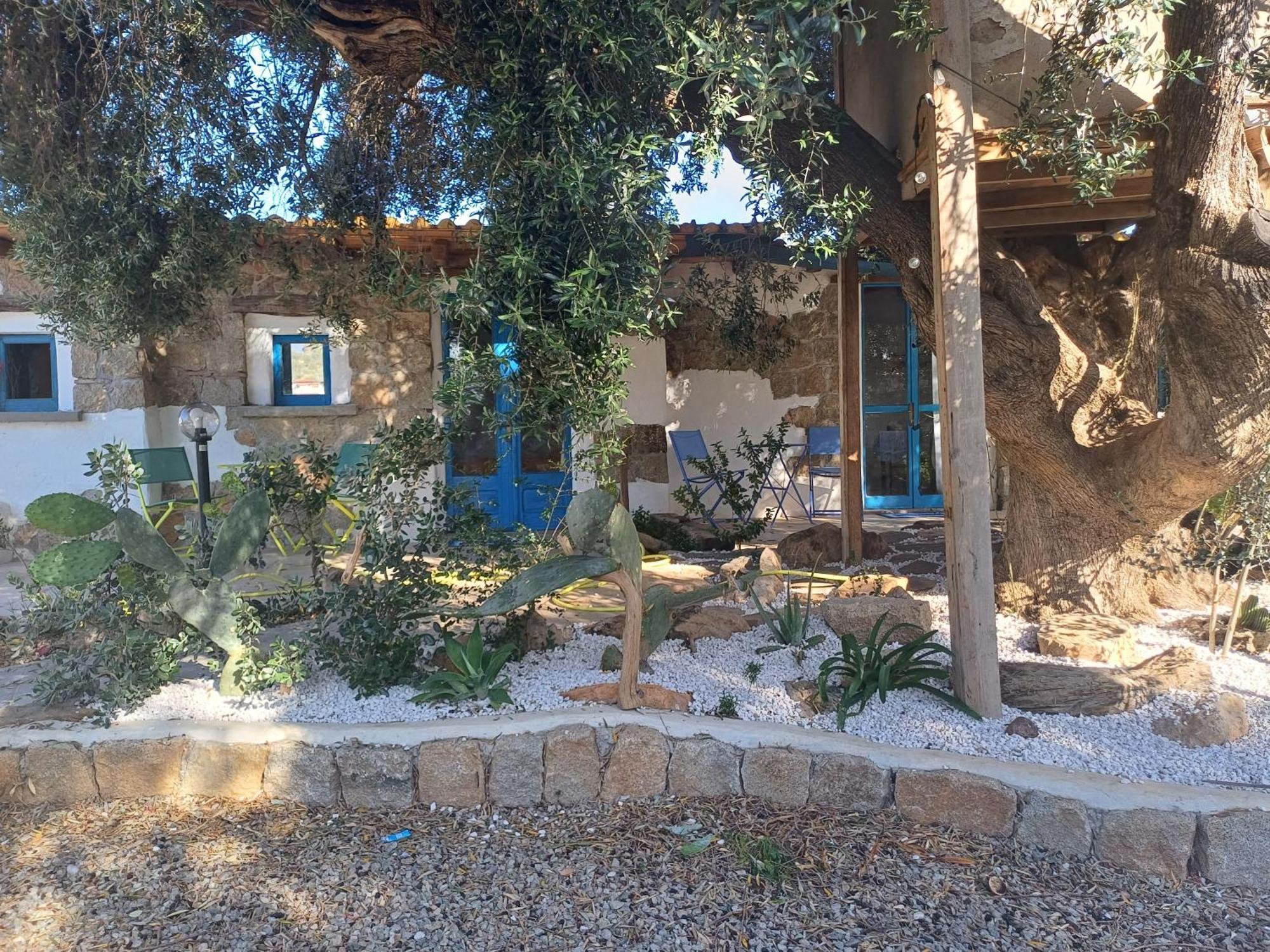 Sole In Ogliastra Bed & Breakfast Jerzu Room photo